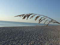 gulf coast beaches